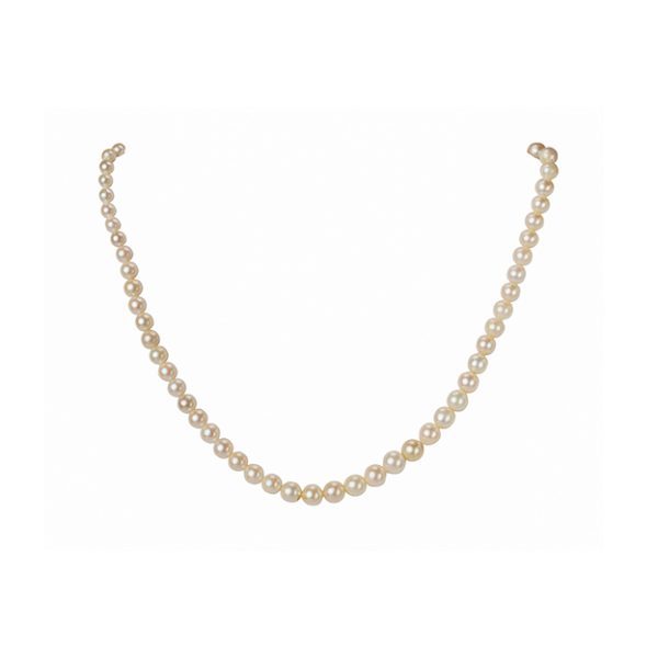 Luxe Pearl Necklace